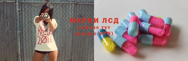 индика Липки