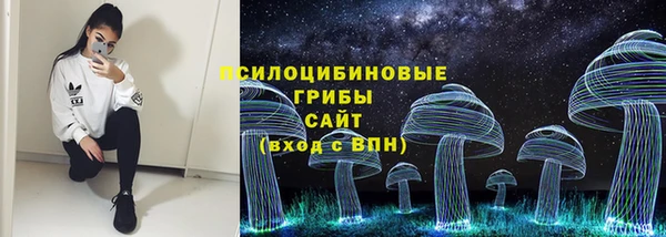 mdpv Куйбышев