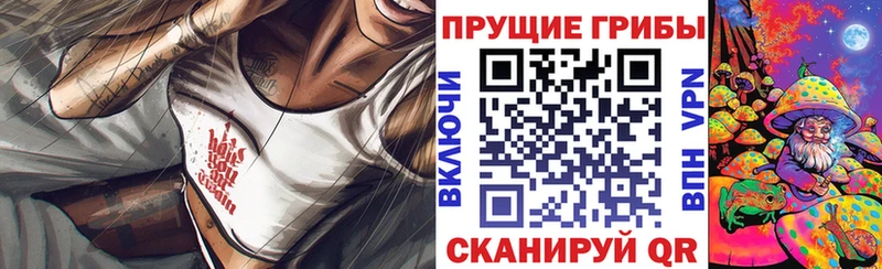Псилоцибиновые грибы Psilocybe  Красноперекопск 