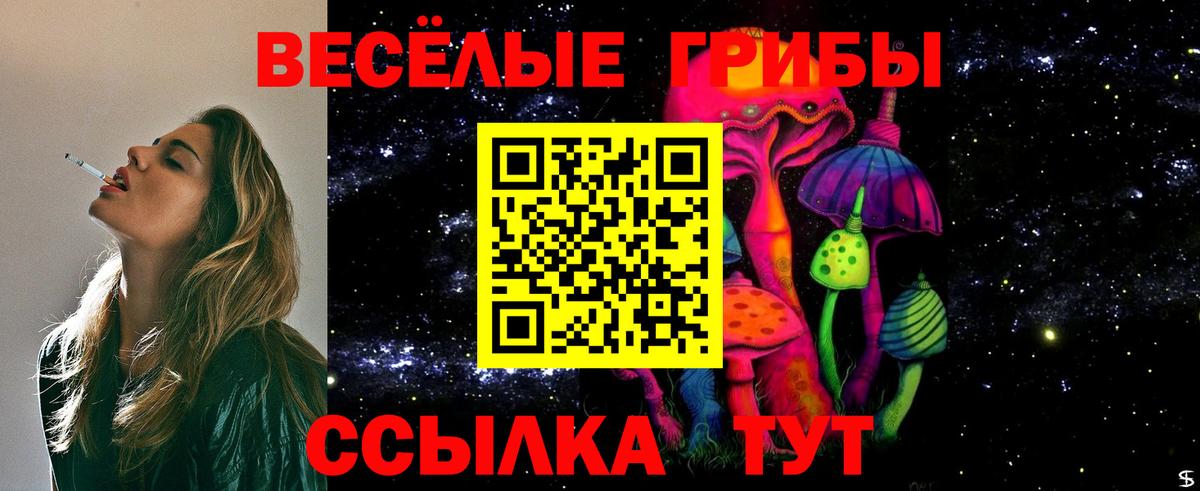как найти наркотики  Псилоцибиновые грибы GOLDEN TEACHER  Вход с VPN  Красноперекопск  Галлюциногенные грибы Magic Shrooms 